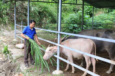 Đẩy mạnh phong trào “Nông dân thi đua sản xuất, kinh doanh giỏi, đoàn kết giúp nhau làm giàu và giảm nghèo bền vững”