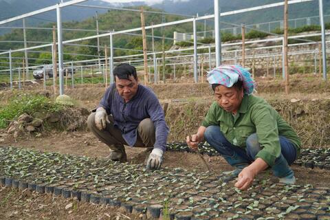 Hội LHPN xã Nậm Hàng hỗ trợ hội viên phát triển kinh tế