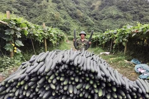 <a href="/tin-tuc-su-kien/tin-kinh-te" title="Tin Kinh tế" rel="dofollow">TIN TỨC, SỰ KIỆN</a>