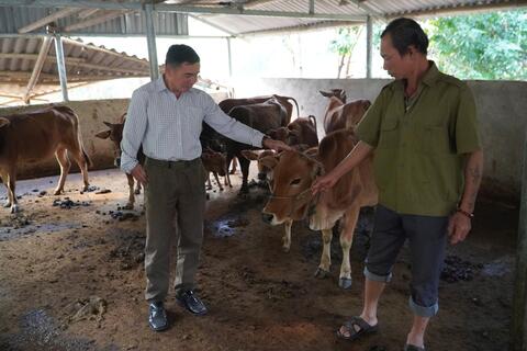 CHI HỘI NÔNG DÂN TỔ DÂN PHỐ NẬM NHÙN PHÁT HUY HIỆU QUẢ NGUỒN VỐN CHÍNH SÁCH