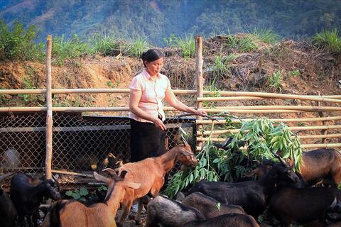 Phụ nữ Nậm Hàng học tập và làm theo Bác