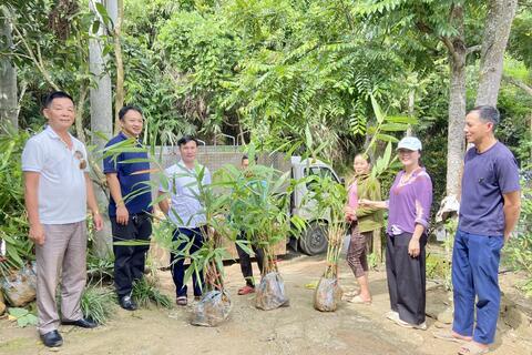 Hỗ trợ giống và phân bón trả chậm, thúc đẩy Phát triển cây tre tại Nậm Hàng